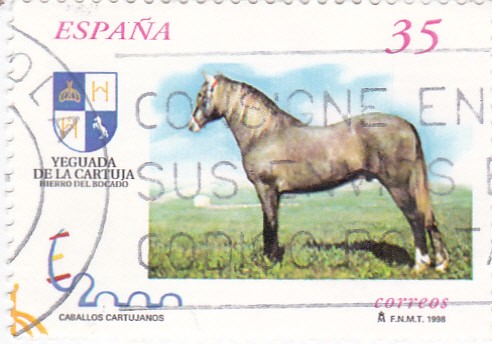 Caballos Cartujanos 3609A    (F)