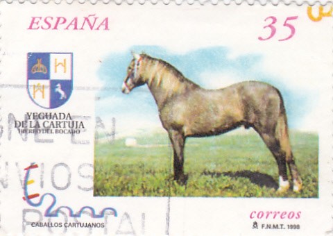 Caballos Cartujanos 3609    (F)