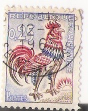 gallo 2