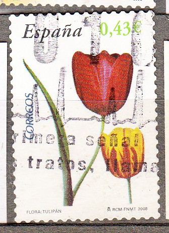 4381 Tulipan (634)