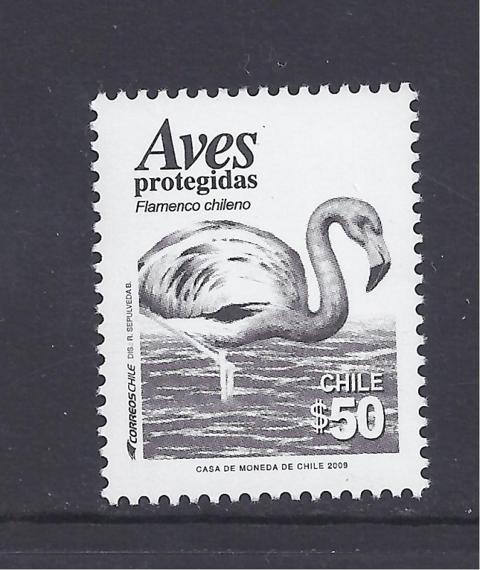 aves protegidas