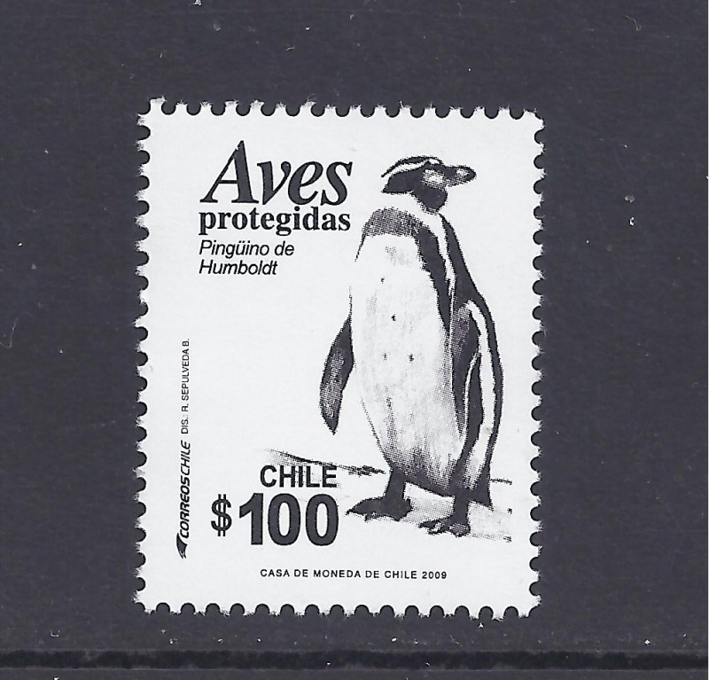 aves protegidas