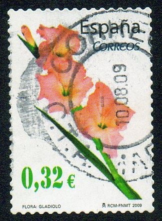 Flora y Fauna - Gladiolo