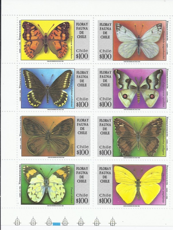 mariposas