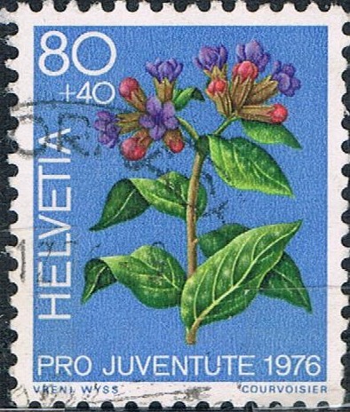 PRO JUVENTUD 1976. PLANTAS MEDICINALES DEL BOSQUE. PULMONARIA. Y&T Nº 1016