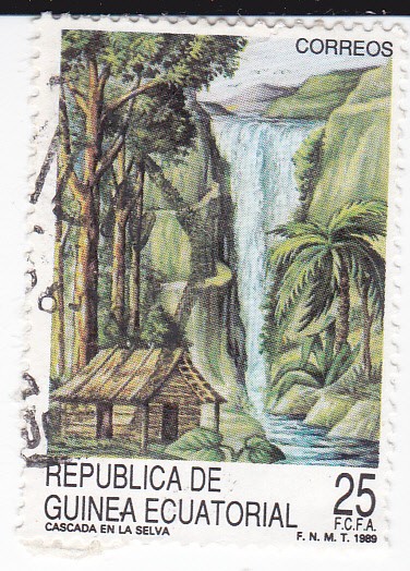 Cascada en la selva