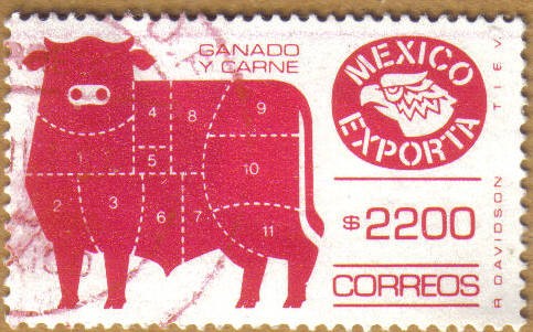 EXPORTA - GANADO Y CARNE Serie 13