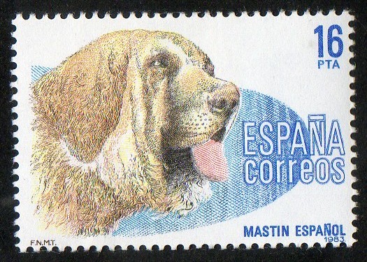 2712- Perros de raza española. Mastín español.