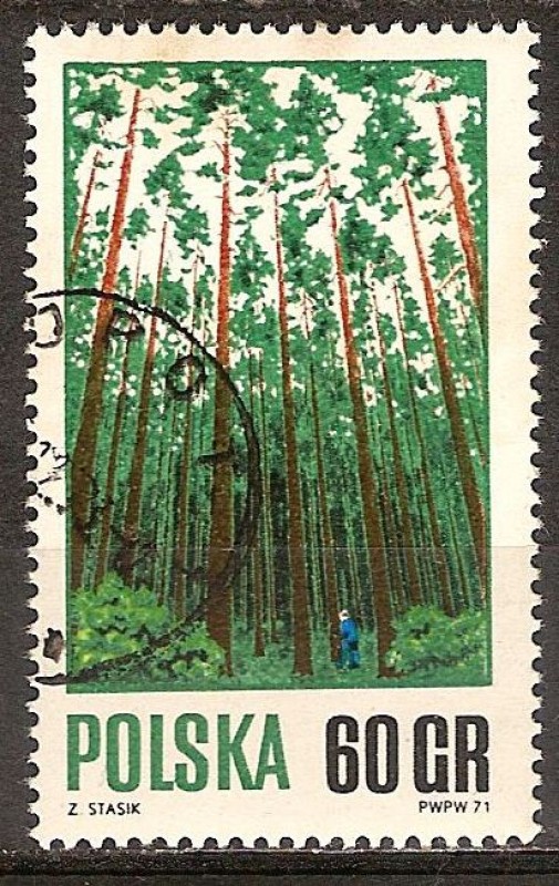 Manejo forestal adecuado.