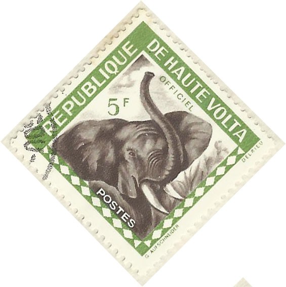 ELEFANTE