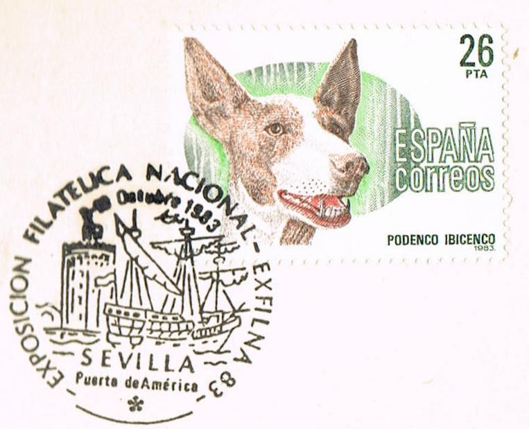 PERROS DE RAZA ESPAÑOLA