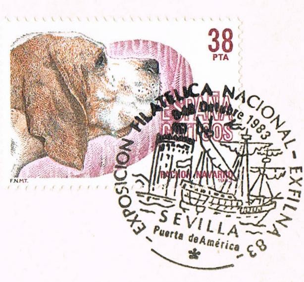 PERROS DE RAZA ESPAÑOLA