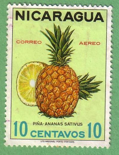 Piñas - Ananas Sativus