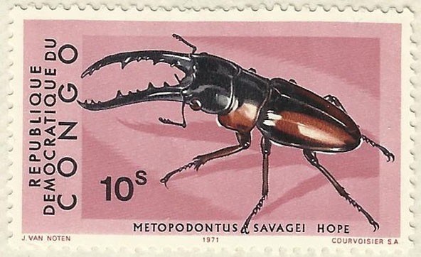 METOPODONTUS SAVAGEI HOPE