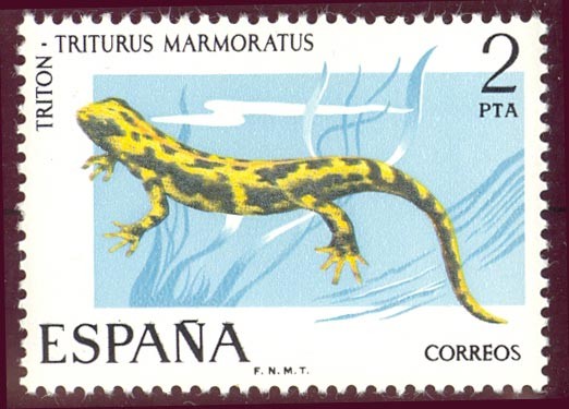1975 Fauna Hispánica. Tritón - Edifil:2273