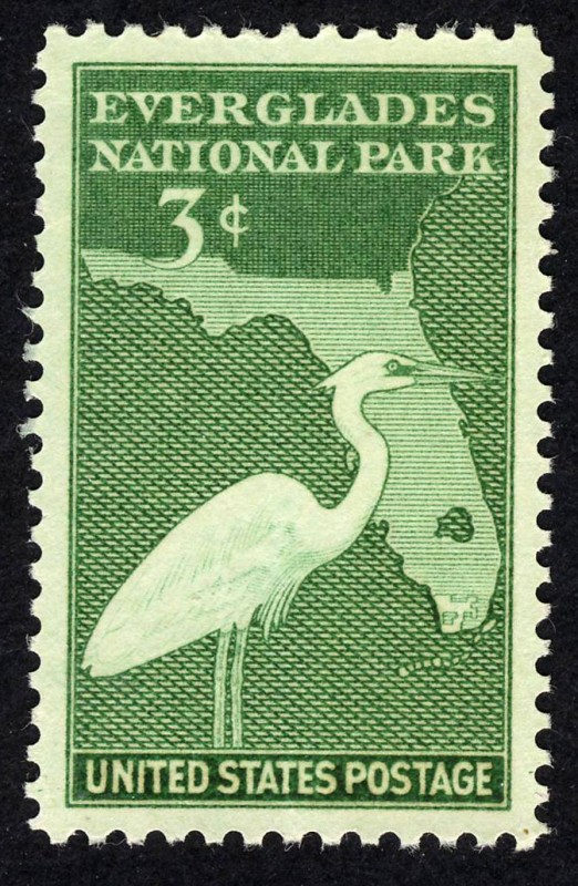 ESTADOS UNIDOS - Parque nacional Everglades