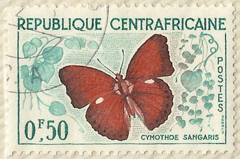 CYMOTHOE SANGARIS