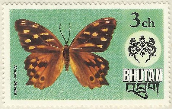 MARIPOSA ( NEOPE BHADRA )