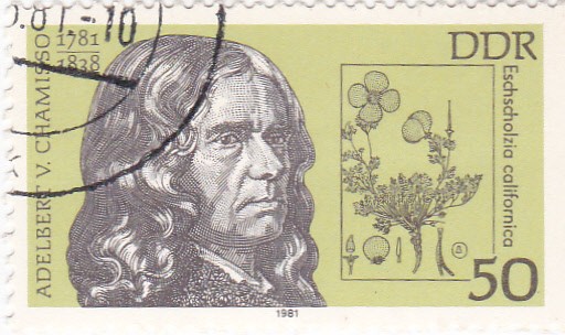 Adelbert v.Chamisso 1781-1828 Botánico