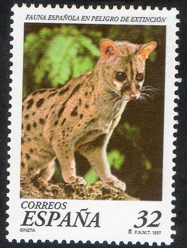 3469- Fauna española en peligro de extin´ción.  Guineta. 