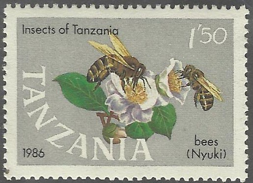 INSECTOS DE TANZANIA. ABEJAS