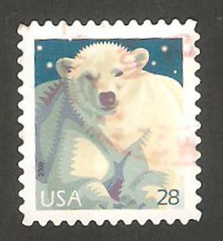 4153 - oso polar