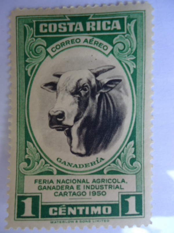 Feria Nacional Agrícola Ganadera  e Industrial Cartago 1950.
