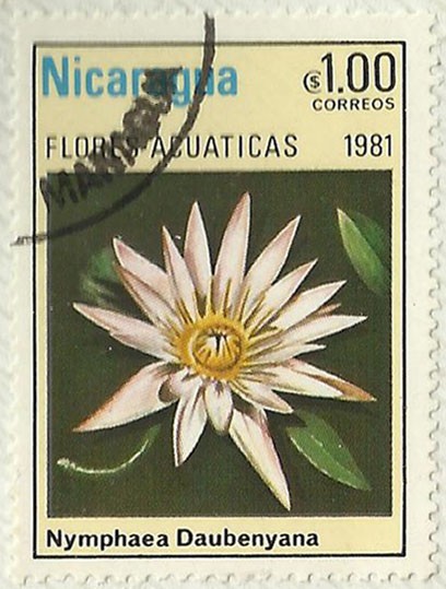 FLORES ACUATICAS