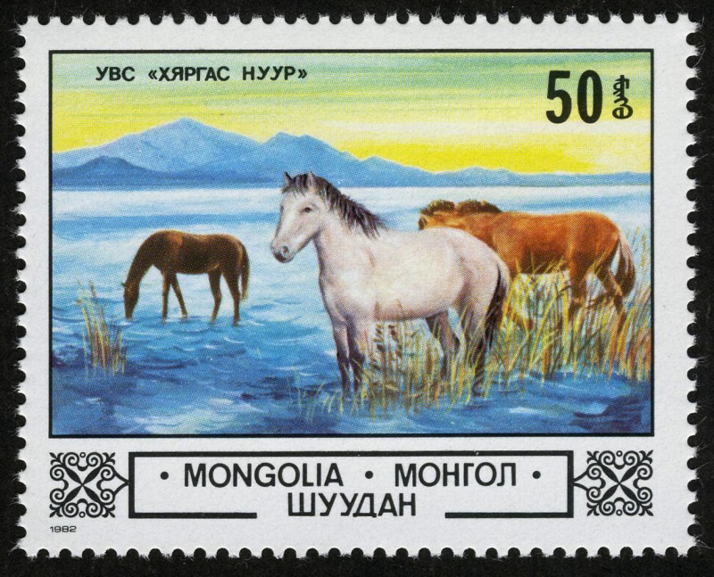 MONGOLIA - Cuenca del Uvs Nuur