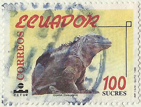 IGUANA DE LAS GALAPAGOS
