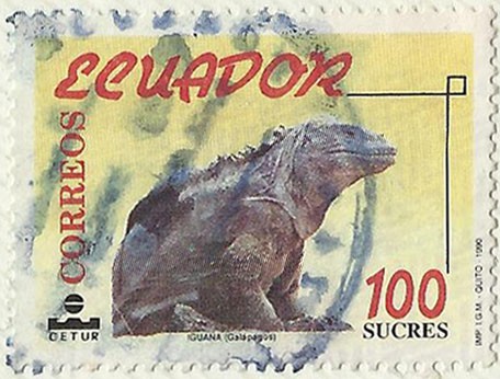 IGUANA DE LAS GALAPAGOS