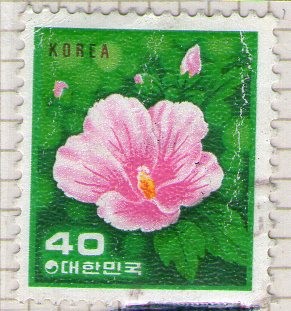18 República de Corea