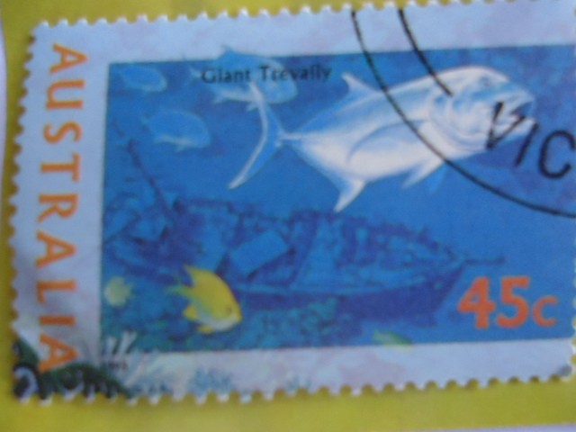 Glant   Trevally .- (R-926)