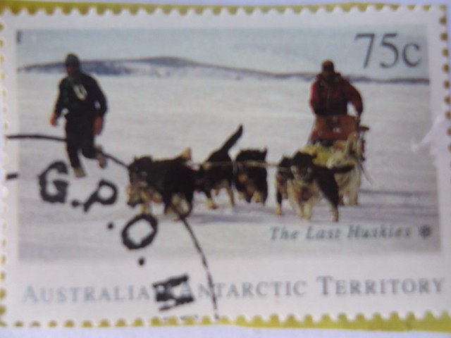 Australian Antarctic Territory . -The Last Huskiesl