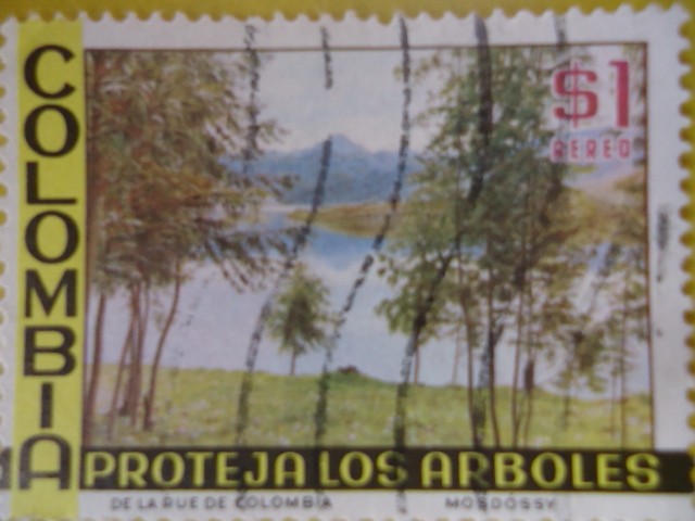 Proteja los Árboles - Colombian Ecology.