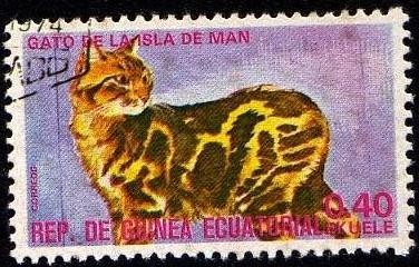 Gato de la Isla de Man