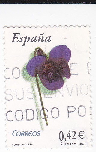 Flora-  VIOLETA      (J)