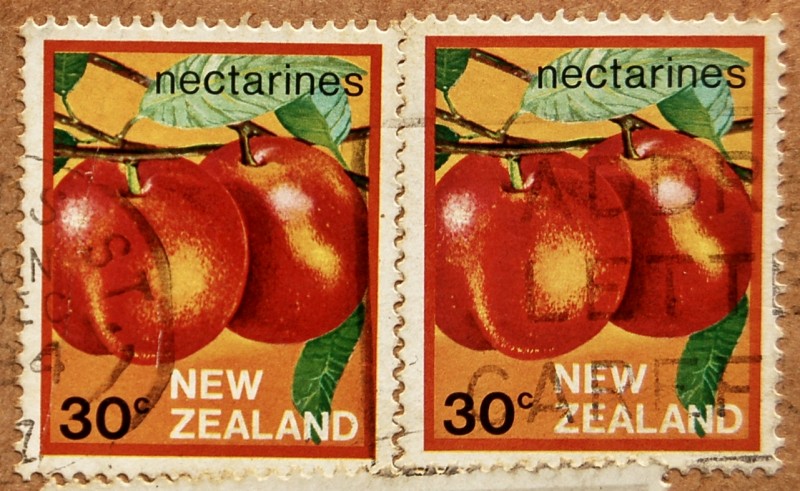 Nectarines