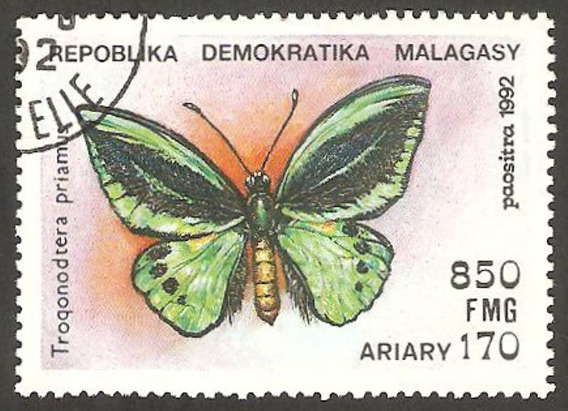 Mariposa