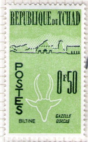19 Biltine