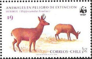 HUEMUL - ANIMALES EN PELIGRO DE EXTINCION