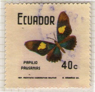 33 Papilio Prausanias