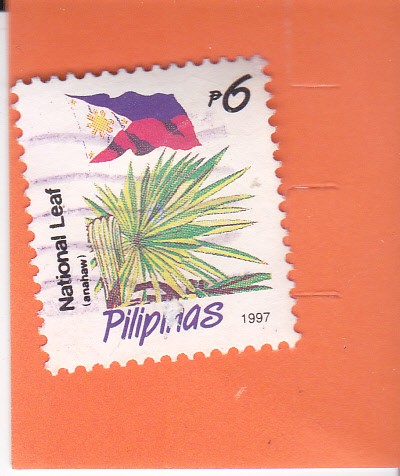Bandera Nacional- planta filipina