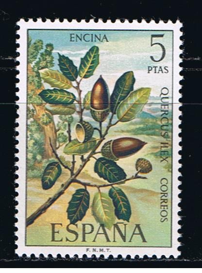 Edifil  2088  Flora.  