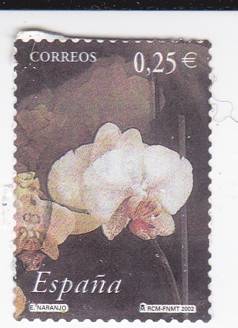 La Flor y el Paisaje-Pintor Eduardo Naranjo       (k)