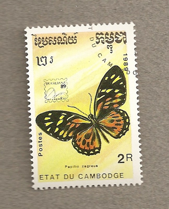 Mariposa Papilio zagreus