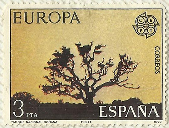 PARQUE NACIONAL DE DOÑANA