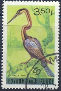 Anhinga rufa