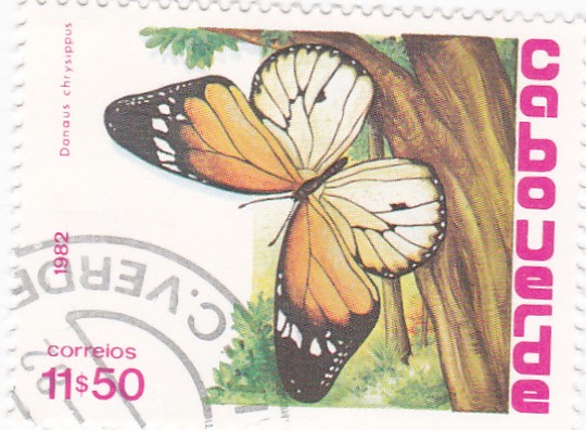 Mariposas- Danaus chrysippus