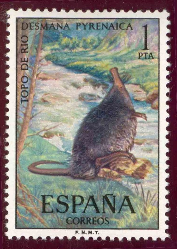 1972 Fauna Hispánica. Topo de Agua - Edifil:2102